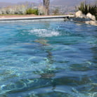 Abella Danger in 'The Seduction Of Abella Danger'