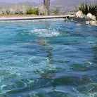 Abella Danger in 'The Seduction Of Abella Danger'